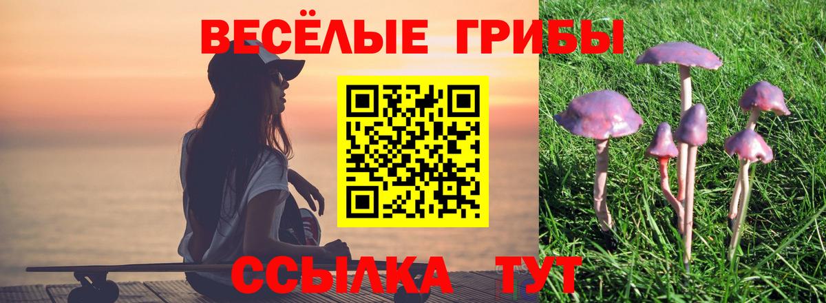 Псилоцибиновые грибы GOLDEN TEACHER  Вход с VPN  Карасук  Псилоцибиновые грибы MAGIC MUSHROOMS 