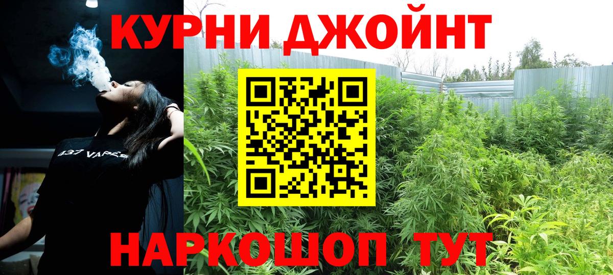 Каннабис конопля Карасук